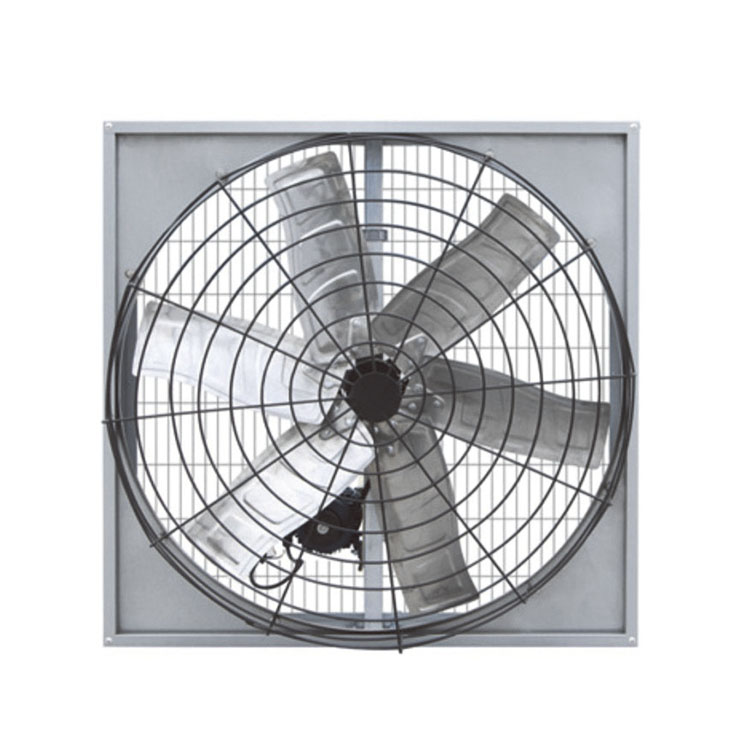 Como escolher um ventilador de correia eficiente para vacas para necessidades de ventilação industrial e pecuária?