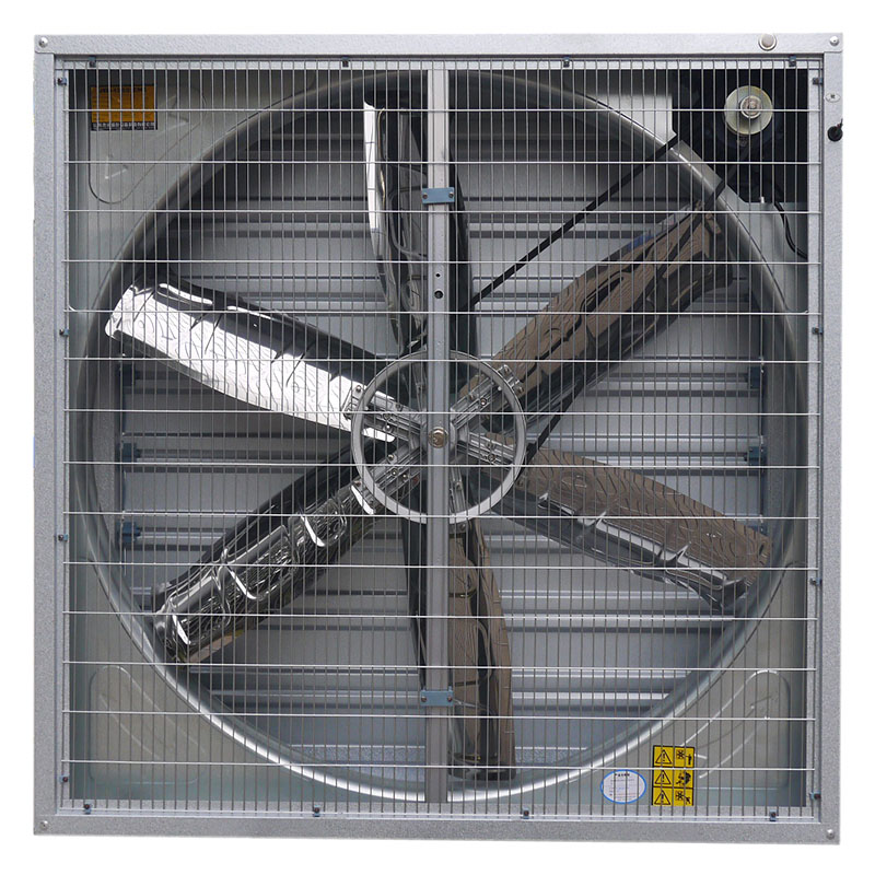 Ventilador de fluxo axial de galinha ventilador