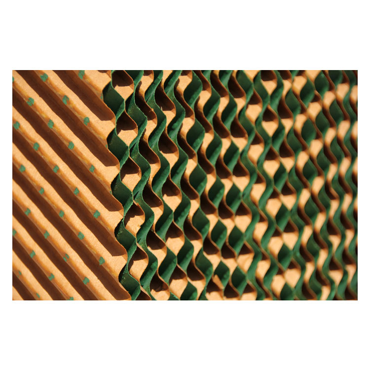 Papel molhado